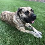 Rusty Everett - @rustyeverett - Instagram