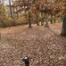 Dixie Everett Salisbury - Facebook
