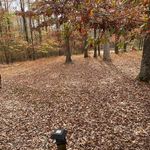 Dixie Everett Salisbury - @dixiesalisbury - Instagram
