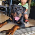 Everett Sampson Jr - @everettsampsonjr - Instagram