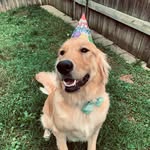 Sir Sampson Everett - @sirsampsoneverett - Instagram