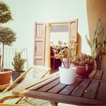 Everett Stephens - @ninjatopdogg - Instagram
