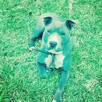 Everett Washington - @washington_everett - Instagram