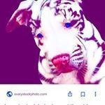 Everett Washington - @everettwashington5782 - Instagram