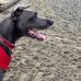 Howarth Park Everett Washington - Facebook