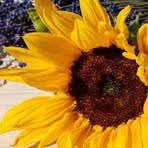 Everett Whatley - Facebook