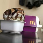 Everett Littlewhiteman - @everettlittlewhiteman - Instagram
