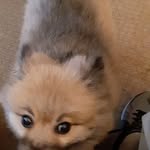 Everett Womack - @everett.womack - Instagram