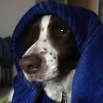 Everett_workman - @everett_workman_ - Instagram