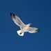 Everett Wright - Facebook