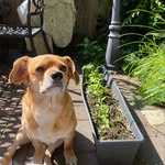 Everett - @everett_wubba - Instagram