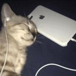 Everett - @everett.wuuu - Instagram