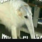 Everett Wyatt - @bananafone6969 - Instagram