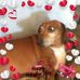 Everette Johnson - Facebook