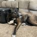 Everett Miller - Facebook