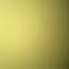 Idk - @everetteraymundo - TikTok
