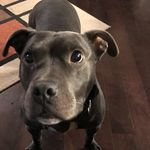 Everett Smith - @everett__smith - Instagram