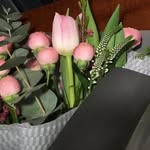 Evergreen_Lee - @evergreen_lee - Instagram