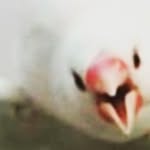 Lee Evergreen - @_evergreen_lee - Instagram