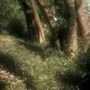 l.r. - @evergreensleep - TikTok