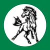 ep softball - @evergreen.park.softball - TikTok