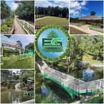 Evergreen_Park - @evergreen_park22 - Instagram