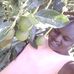 Kanyi Erick Johnson - Facebook