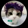 Everilda Castro - @gatoinsano426 - TikTok