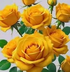 Maria Everilda Castro Alapizco - Facebook