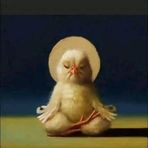 Early Bird De Kim - Facebook