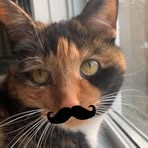 Everlee Edwards - Facebook