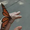 🦋Everly Hernandez 🦋 - @everly_2003 - TikTok