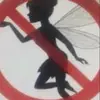 Everly_fairyhunter - @everly_fairyhunter - TikTok