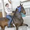 Everlynn Jackson - @everlynn.jackson - TikTok