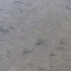 hello TikTok - @everlyjames6 - TikTok