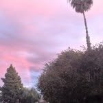 Everly - @everlyray_ - Instagram