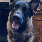 Beverly Schmidt - @beverly.schmidt.7121614 - Instagram