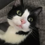 Everly Snowe - @everlysnowe - Instagram