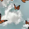 everlythomas - @everlythomas - TikTok