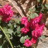 Everly Walker - @everly.walker5 - TikTok
