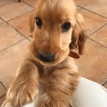 Everly West - @everlywest205 - Instagram