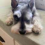 Everly-Jo Wheeler - Facebook