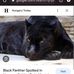 Yvette Butler - Facebook