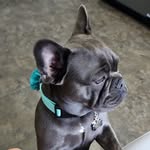 Evette Morales - @bruja_bendecida - Instagram