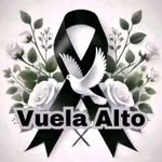 Yvette Morales - @yvette.morales.752 - Instagram