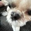 Evey Brown - @evey.brown - TikTok
