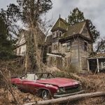 Evey Hammond - @evey.hammond.737001 - Instagram