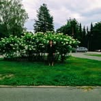 Evgeniya Pak - Facebook