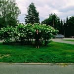 Evgeniya Pak - @evgeniya.pak.142 - Instagram