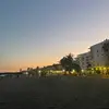 evie - @evie.johnson.28 - TikTok